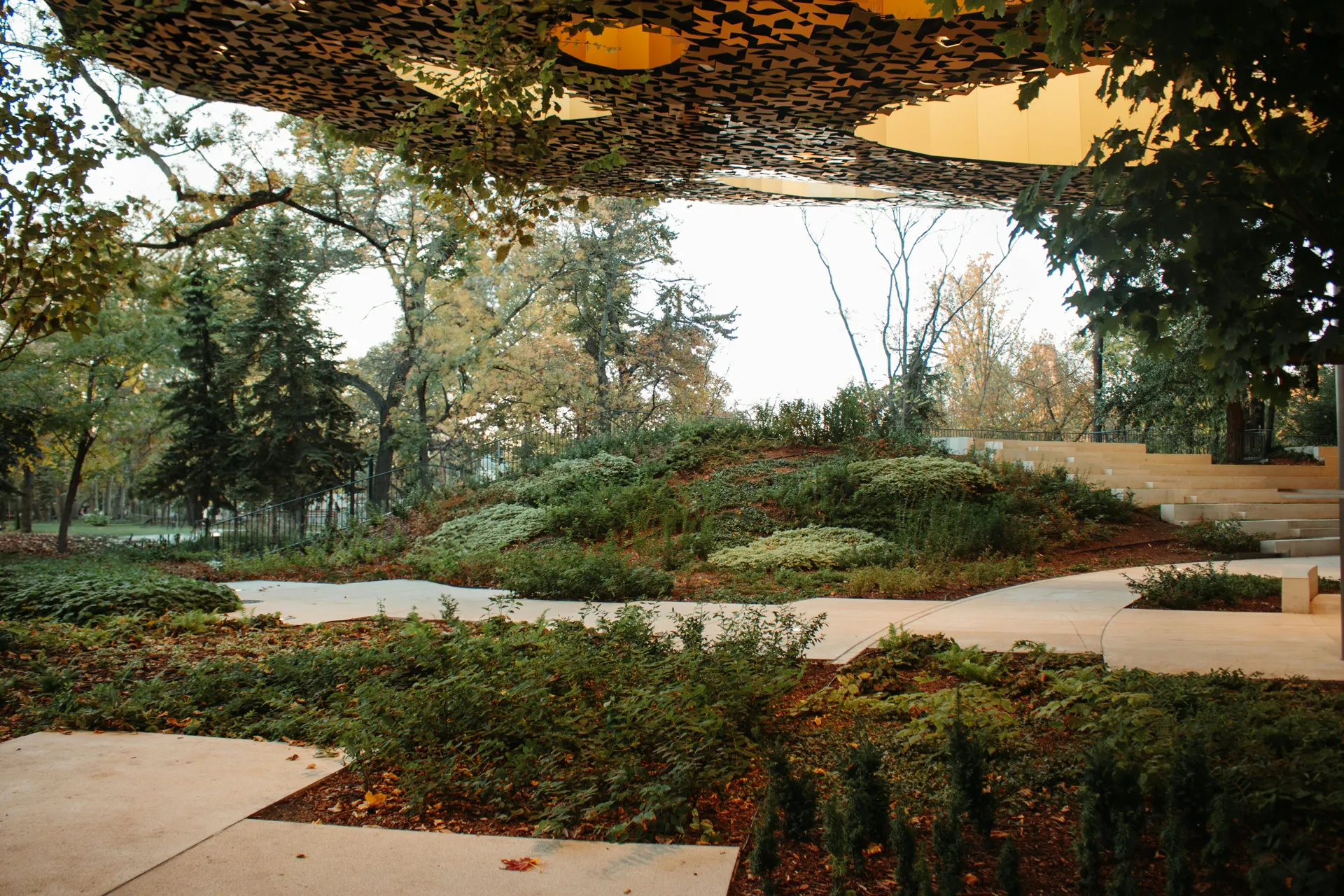 Professional landscape expertise
