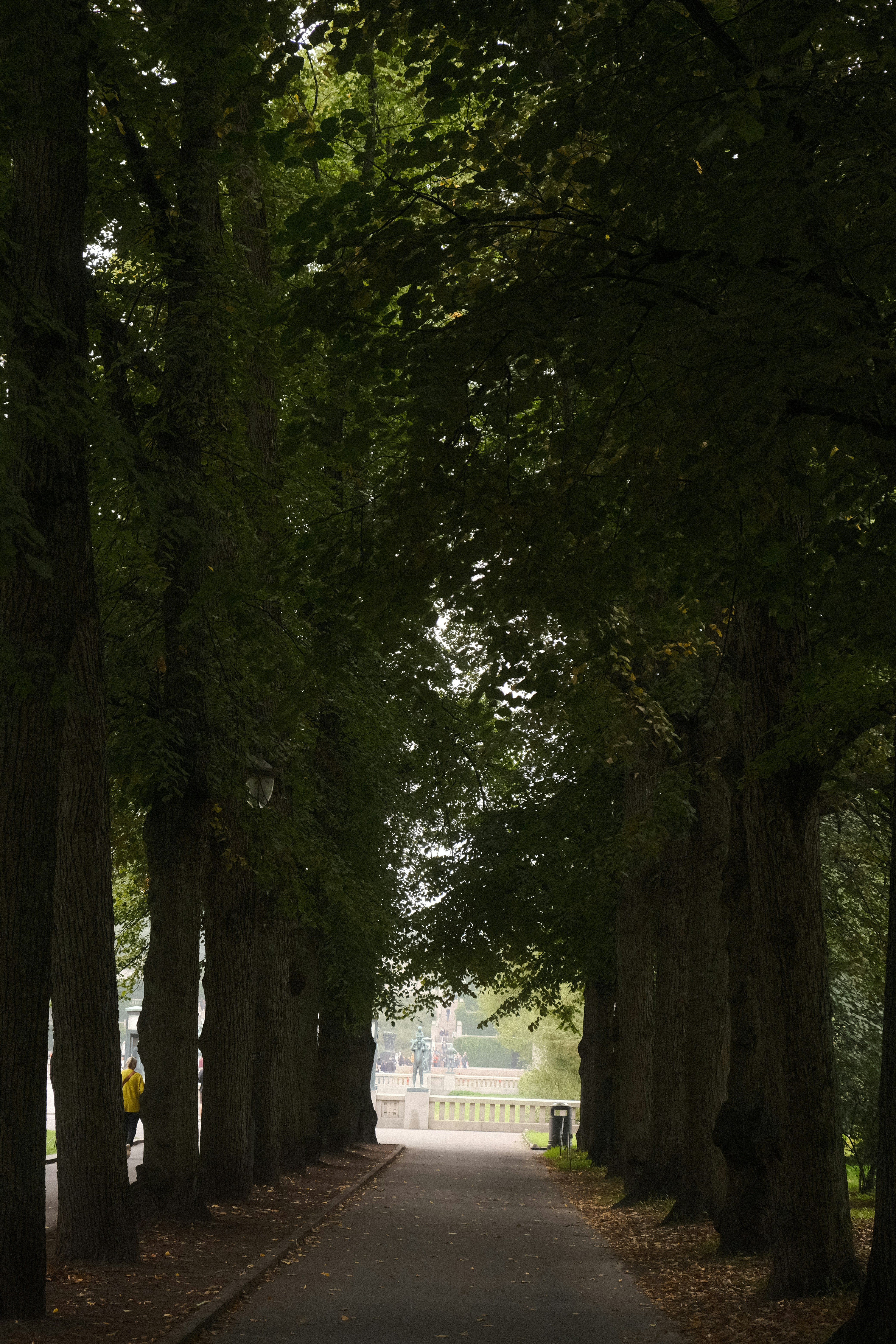 Native canopy