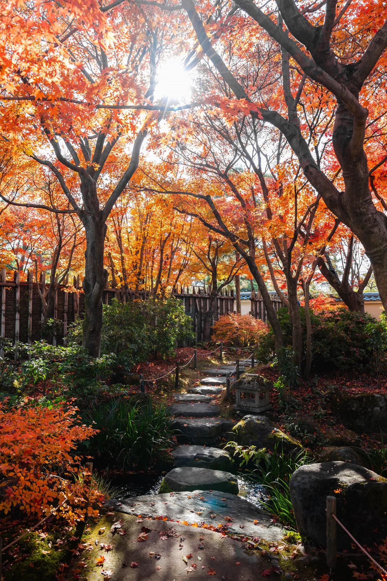 Ecological landscape