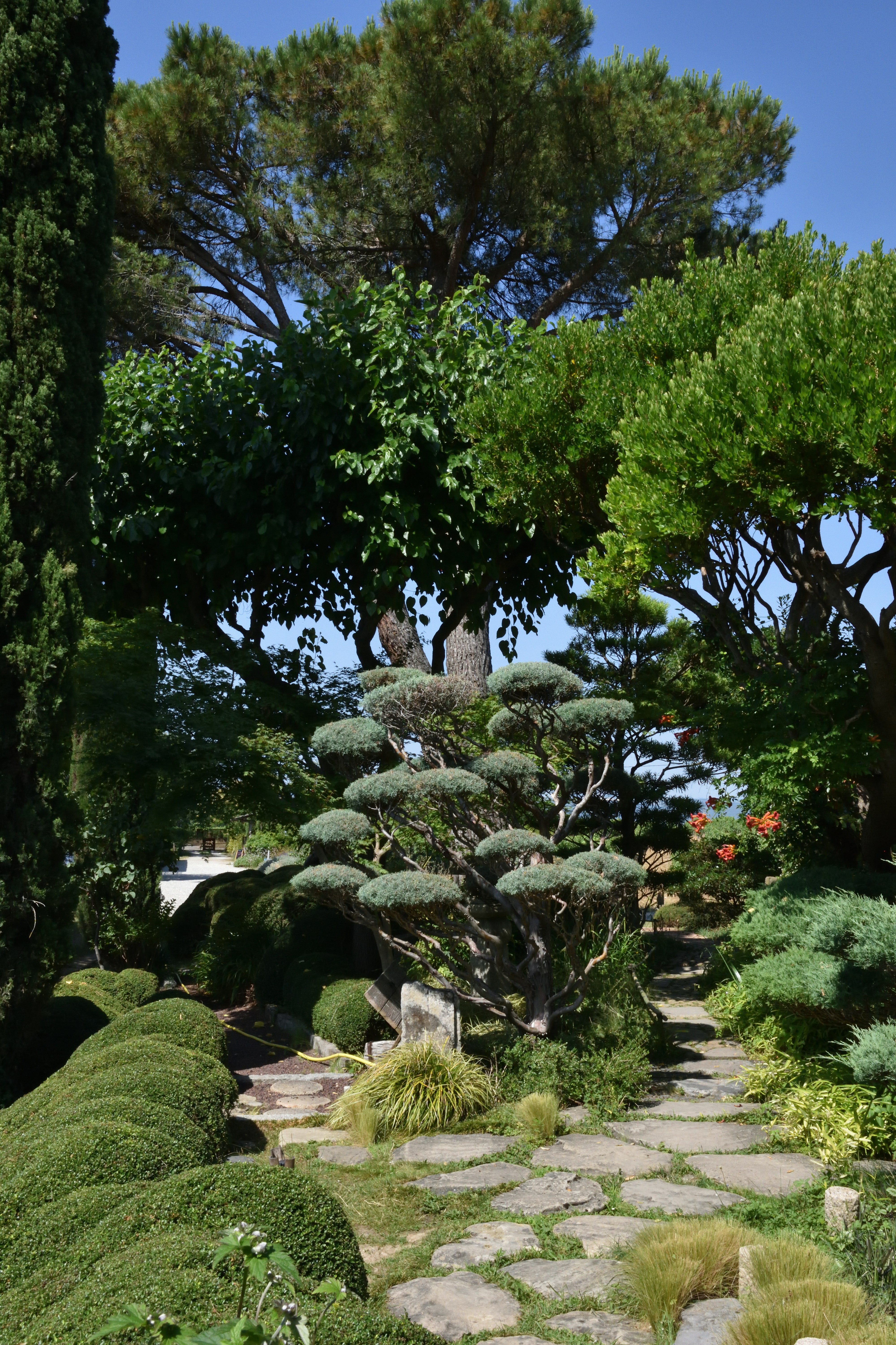 Garden pathway