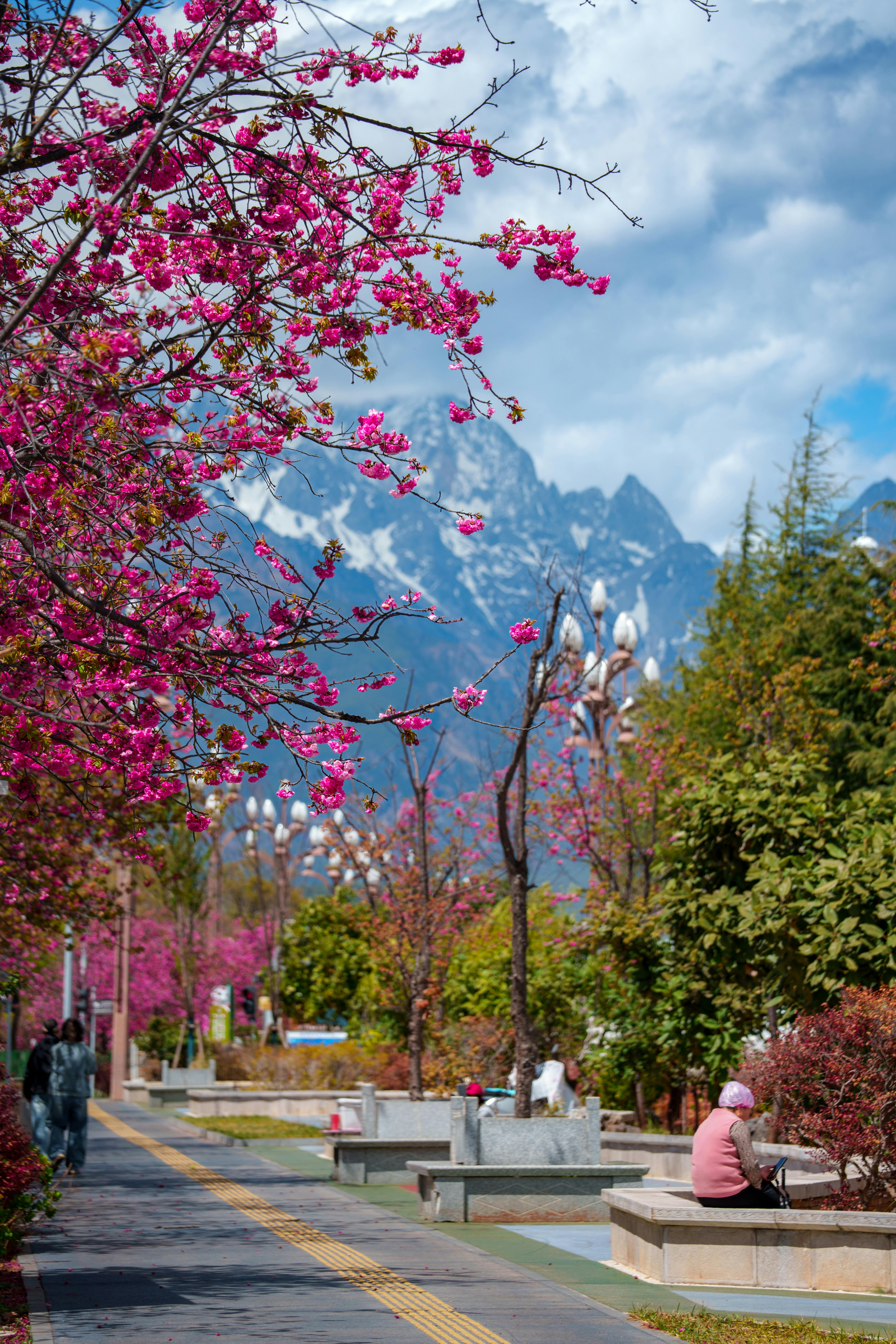 Pathway design
