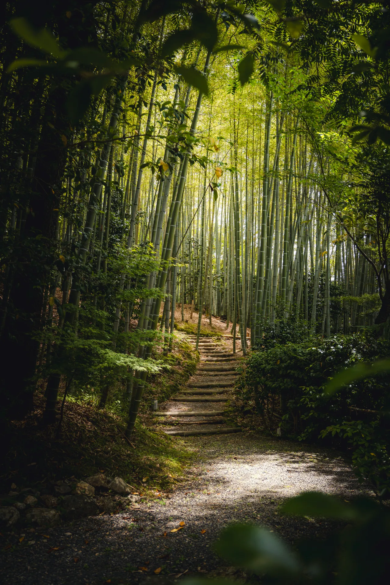 The sheltered reprieve