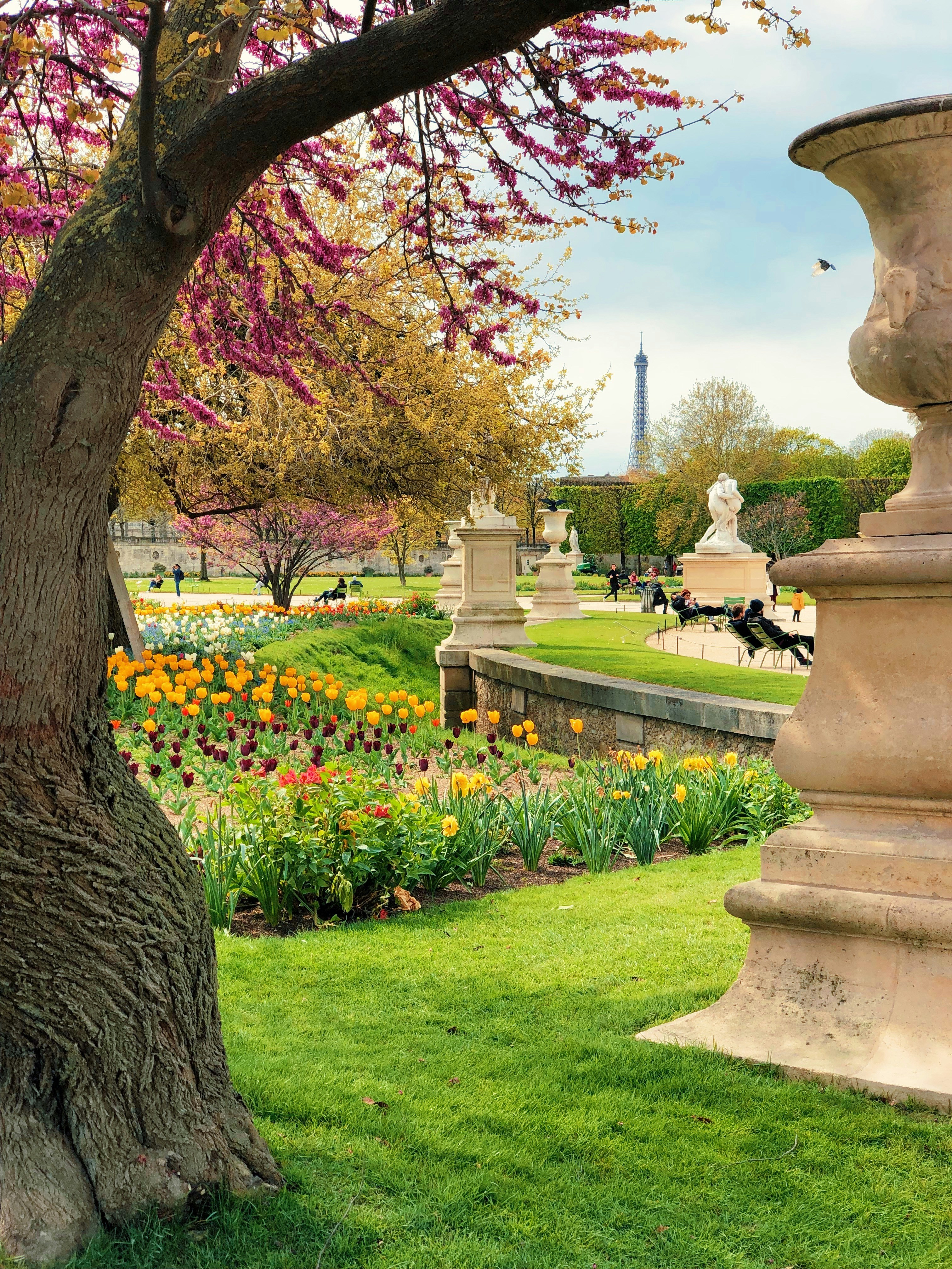 Landscape design