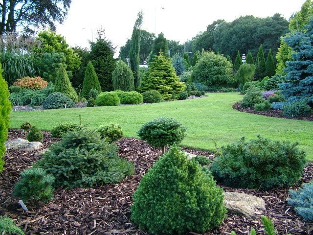 A considered garden landscape designed for a Calgary property