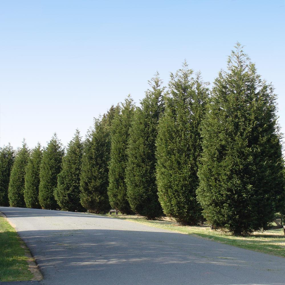 Acreage Hedges