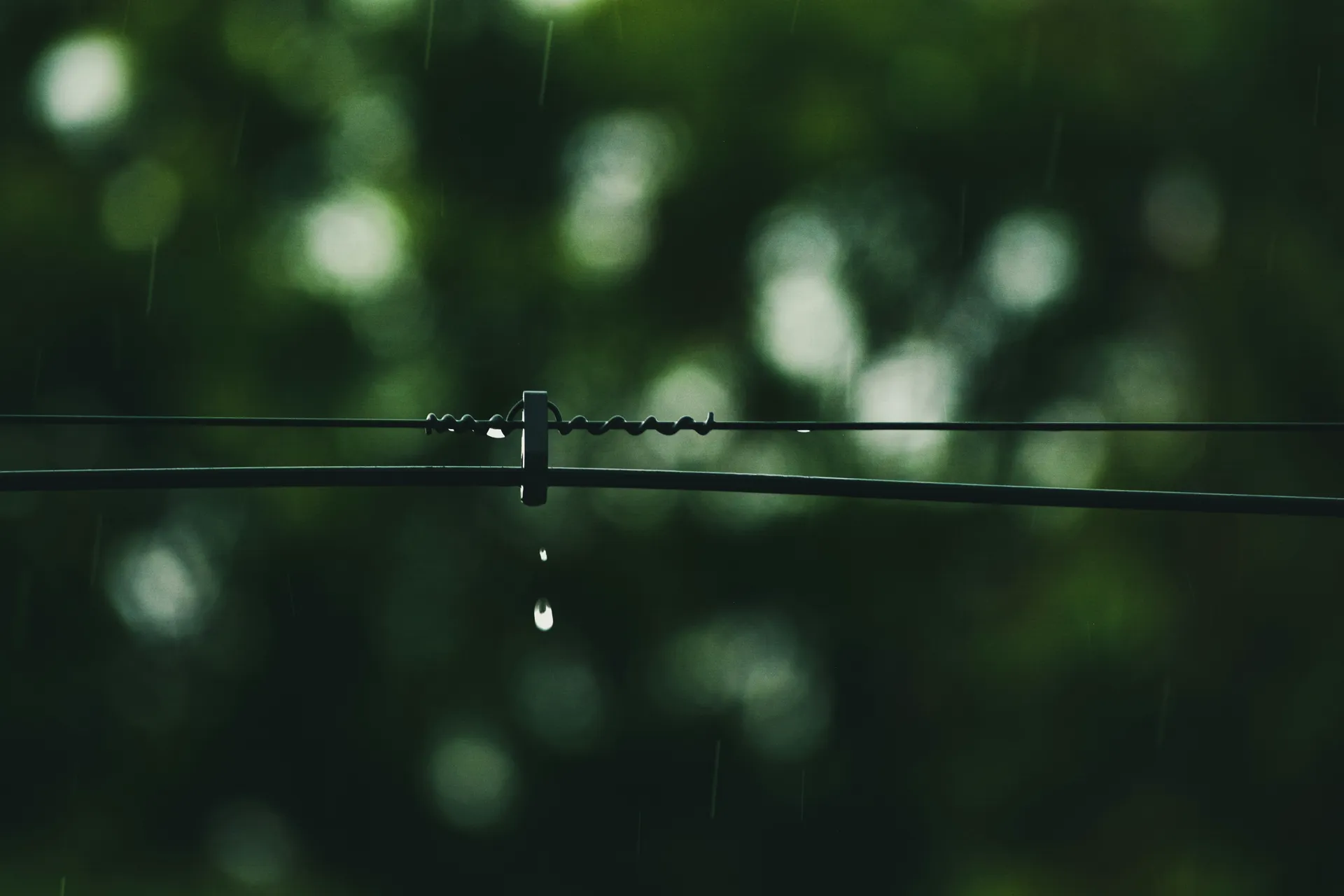 Smart irrigation system