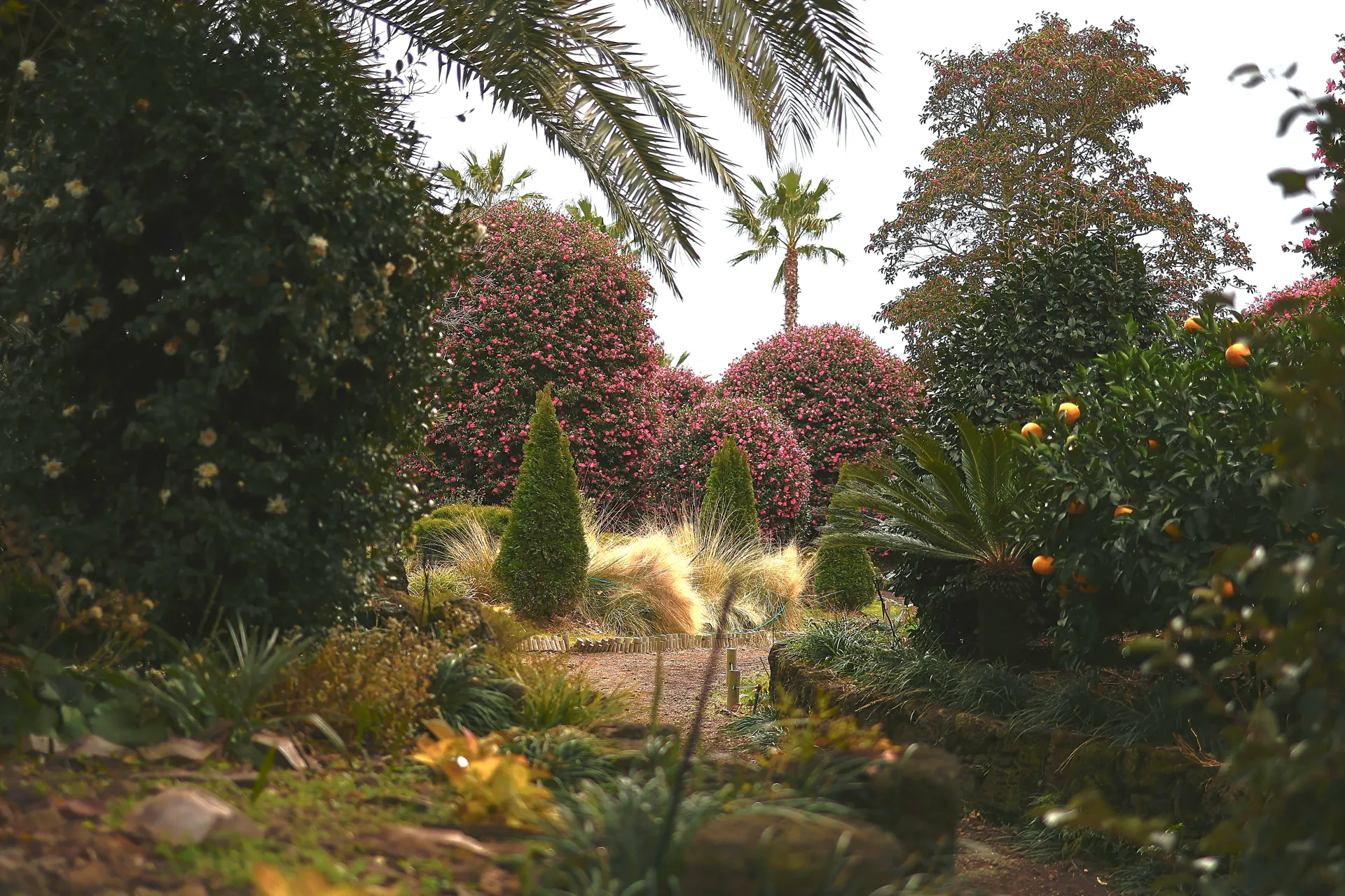 Thoughtful landscape design