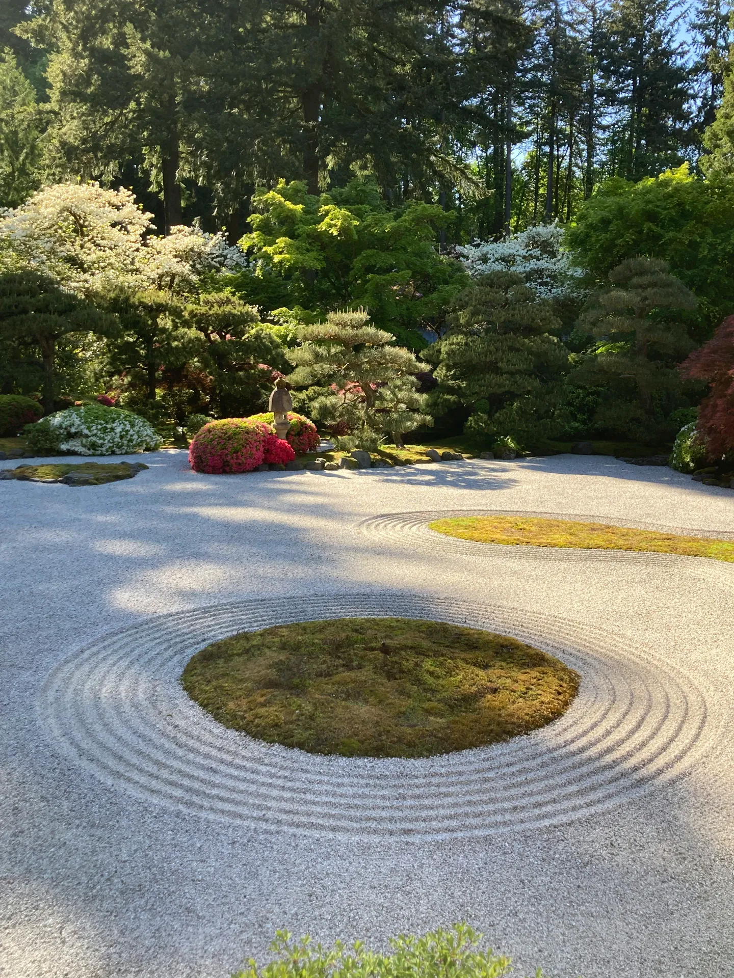 Garden 6