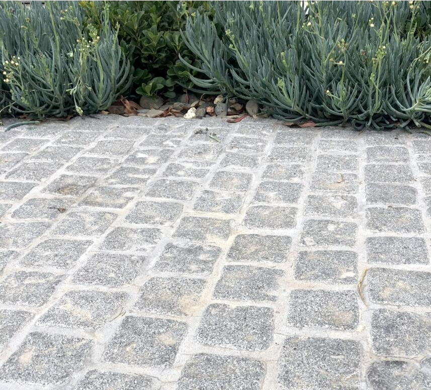 Cobblestone pathway through a landscaped garden