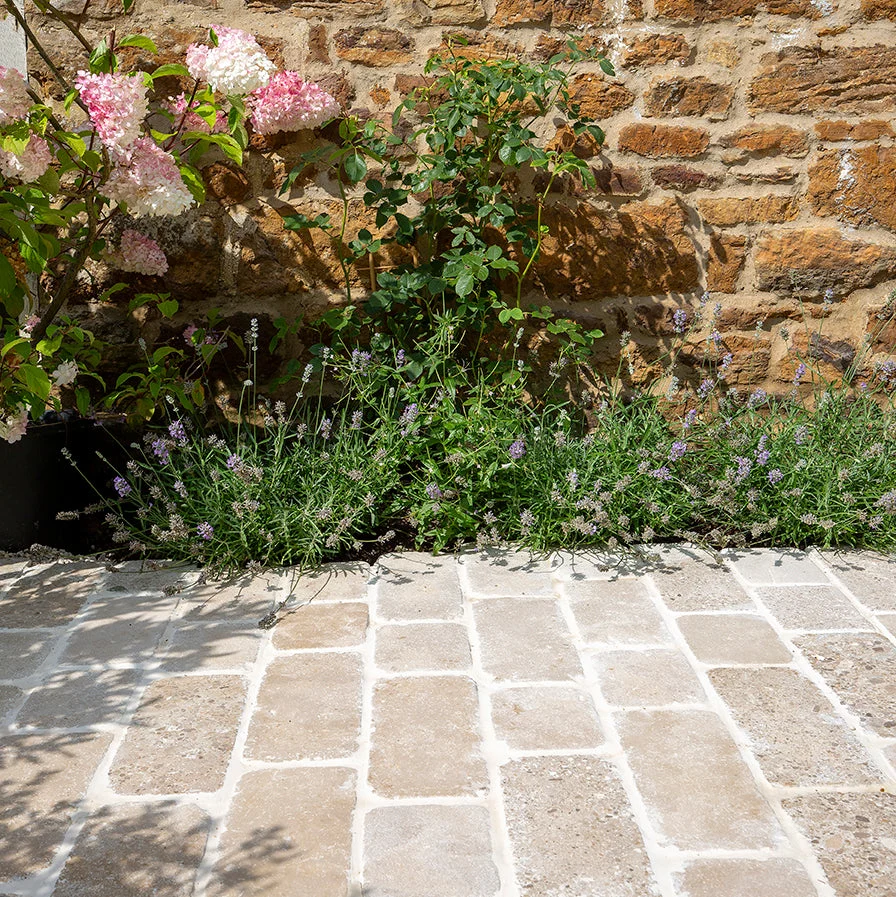 Textured natural stone pathway detail